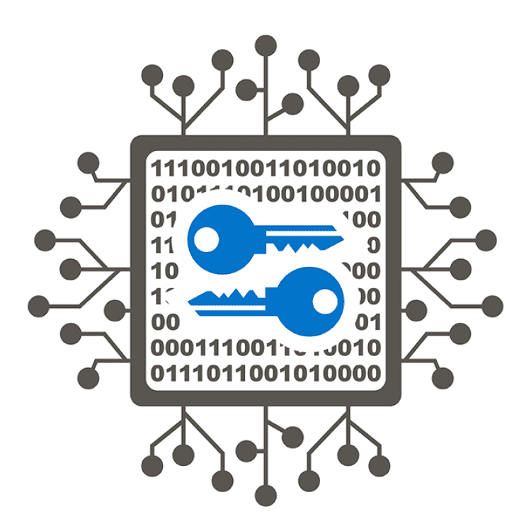 Secure Your Network