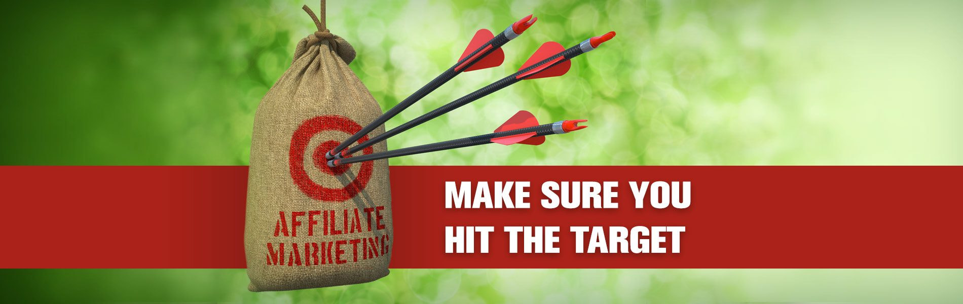 Track Affiliate Marketing Performance without Using Spy-Tools