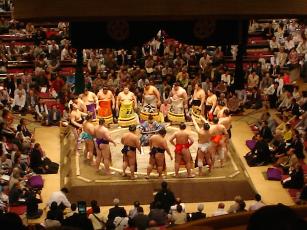 sumo