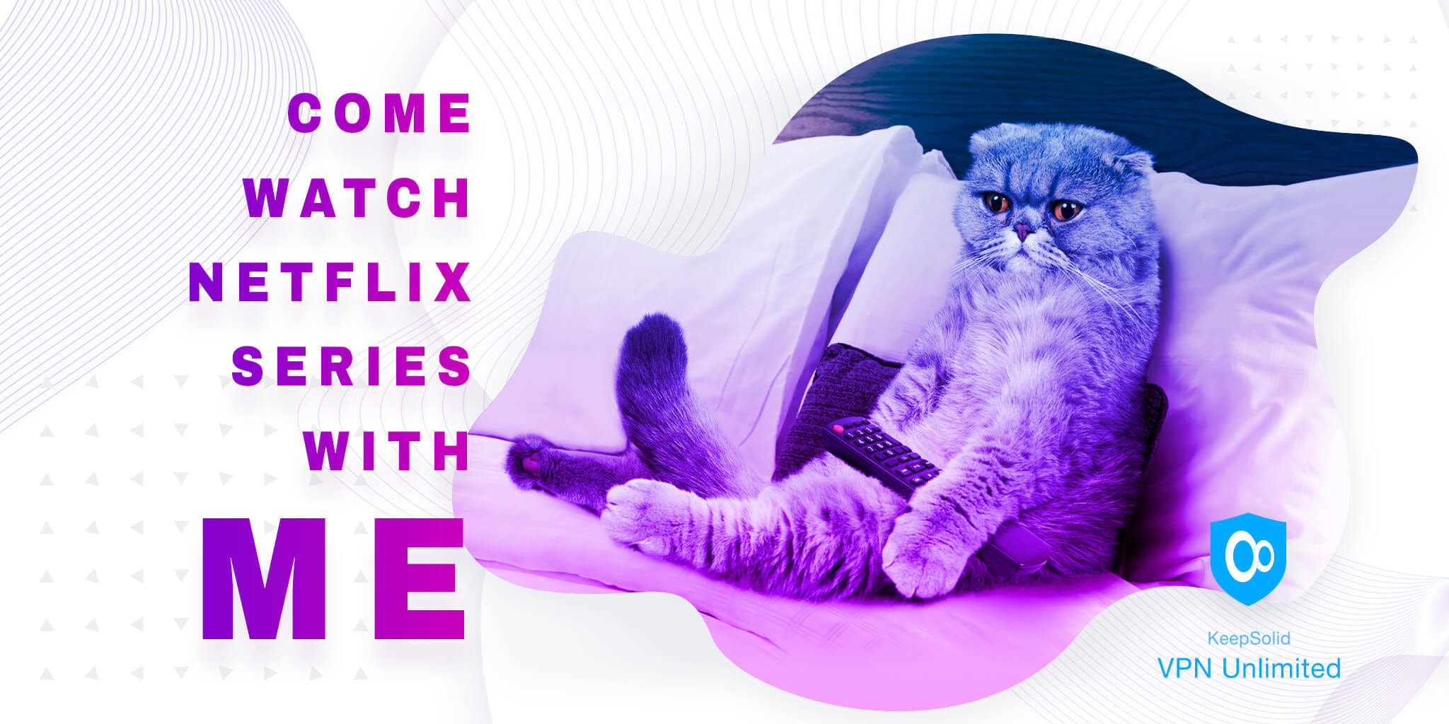  Scottish Fold cat is lying on the sofa with the TV remote control and is watching US Netflix with free VPN trial version.