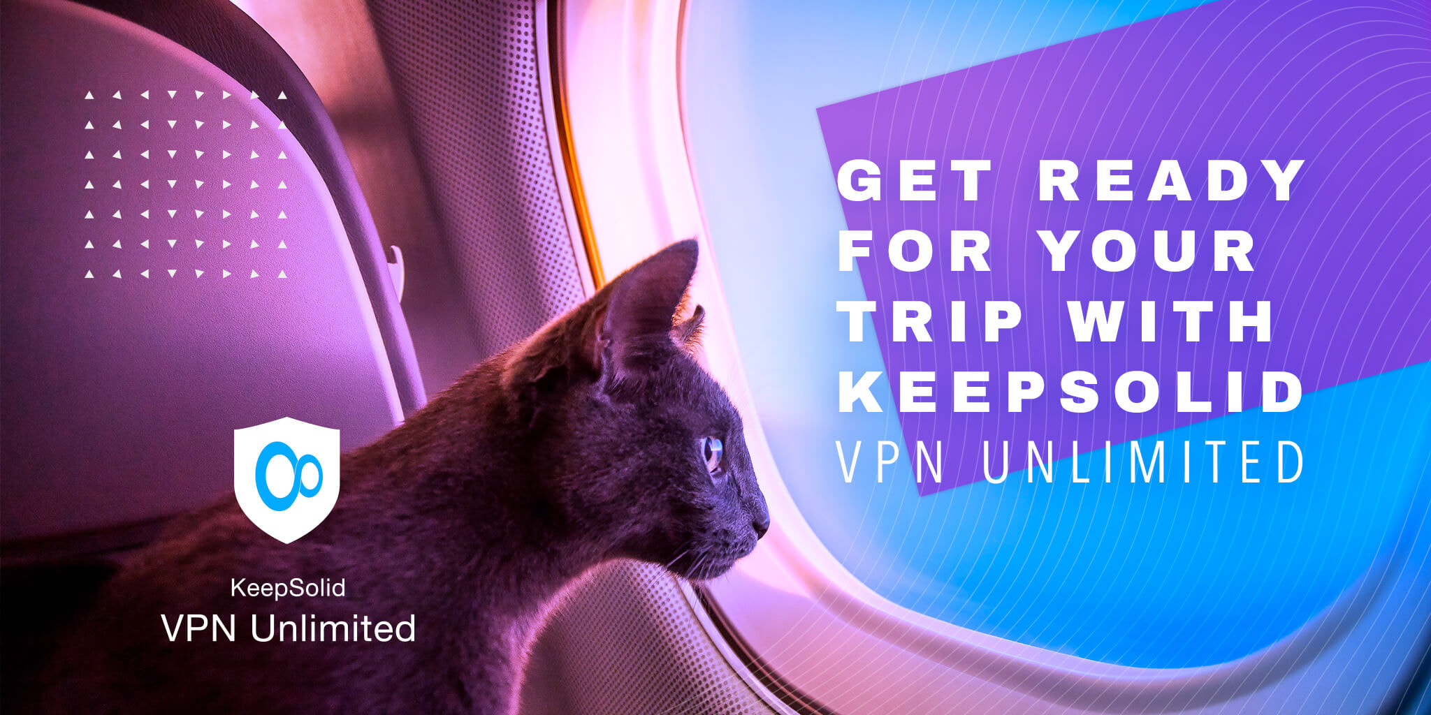 Cat, who booked cheap airline tickets with free VPN trial version, is sitting on the plane and looking in the window.